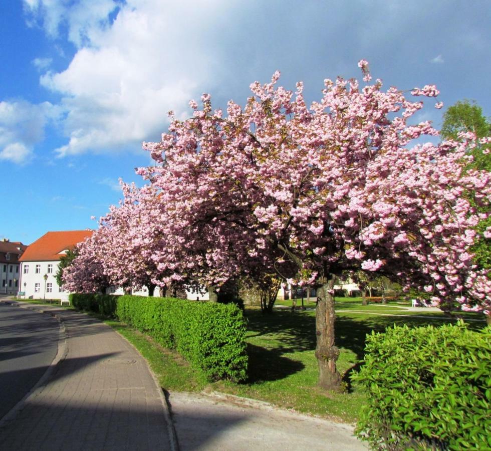 Kastanienhof Luebben Apartment Bagian luar foto